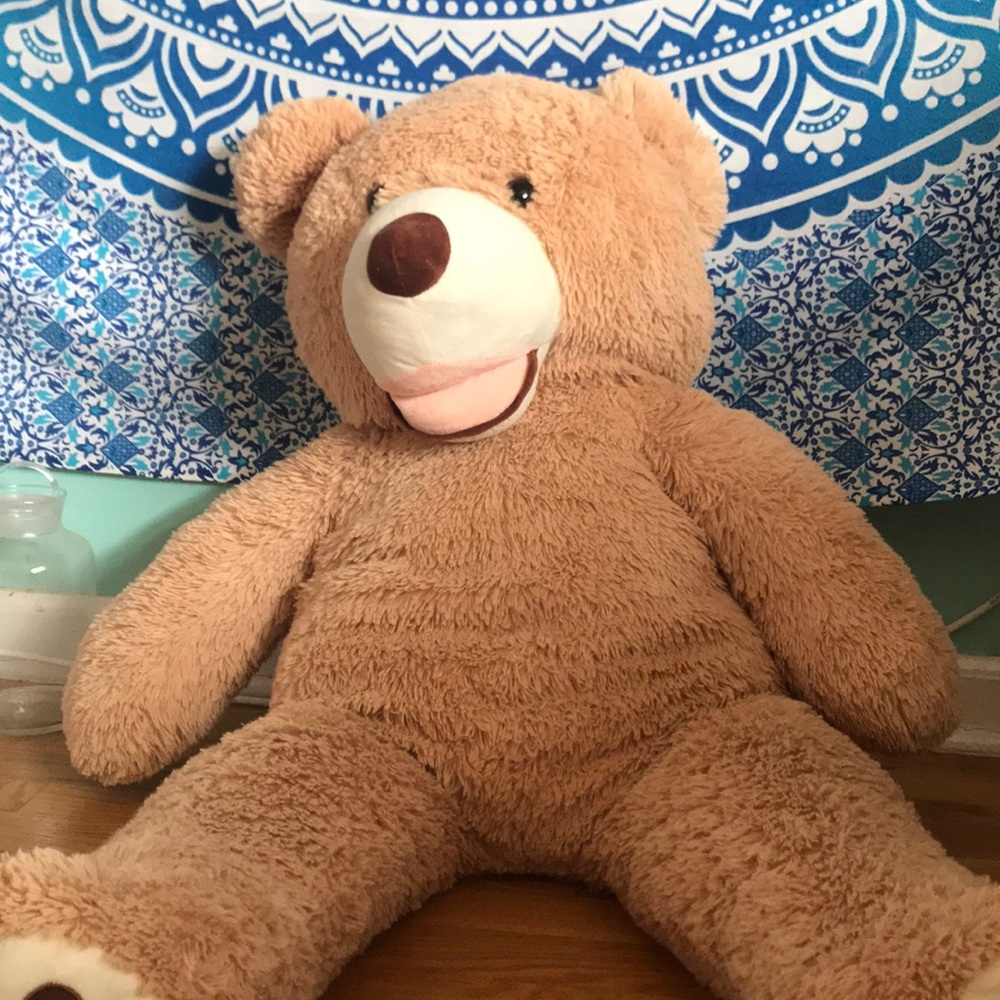 Huge Teddy Bear!!